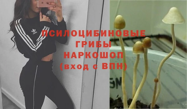 гидра Алексеевка