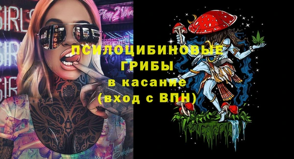 сатива Алексин