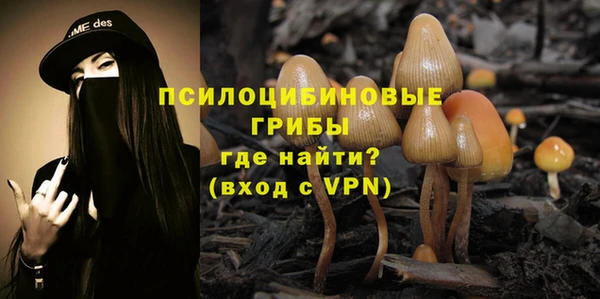сатива Абаза