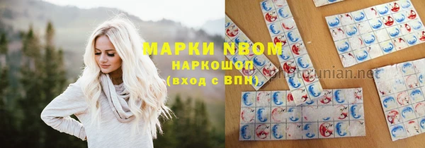 гидра Алексеевка