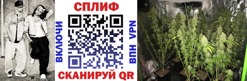 Каннабис Ganja Исилькуль